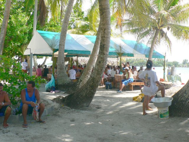 84- Le repas sous les cocotiers 